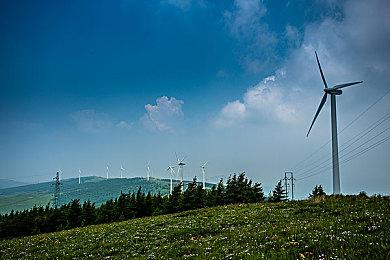 《全面战争：法老》发布大型更新“王朝”概述视频 将于7月25日免费推出